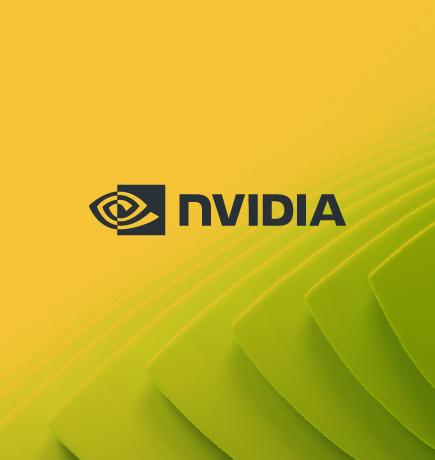 NVIDIA FLARE DAY