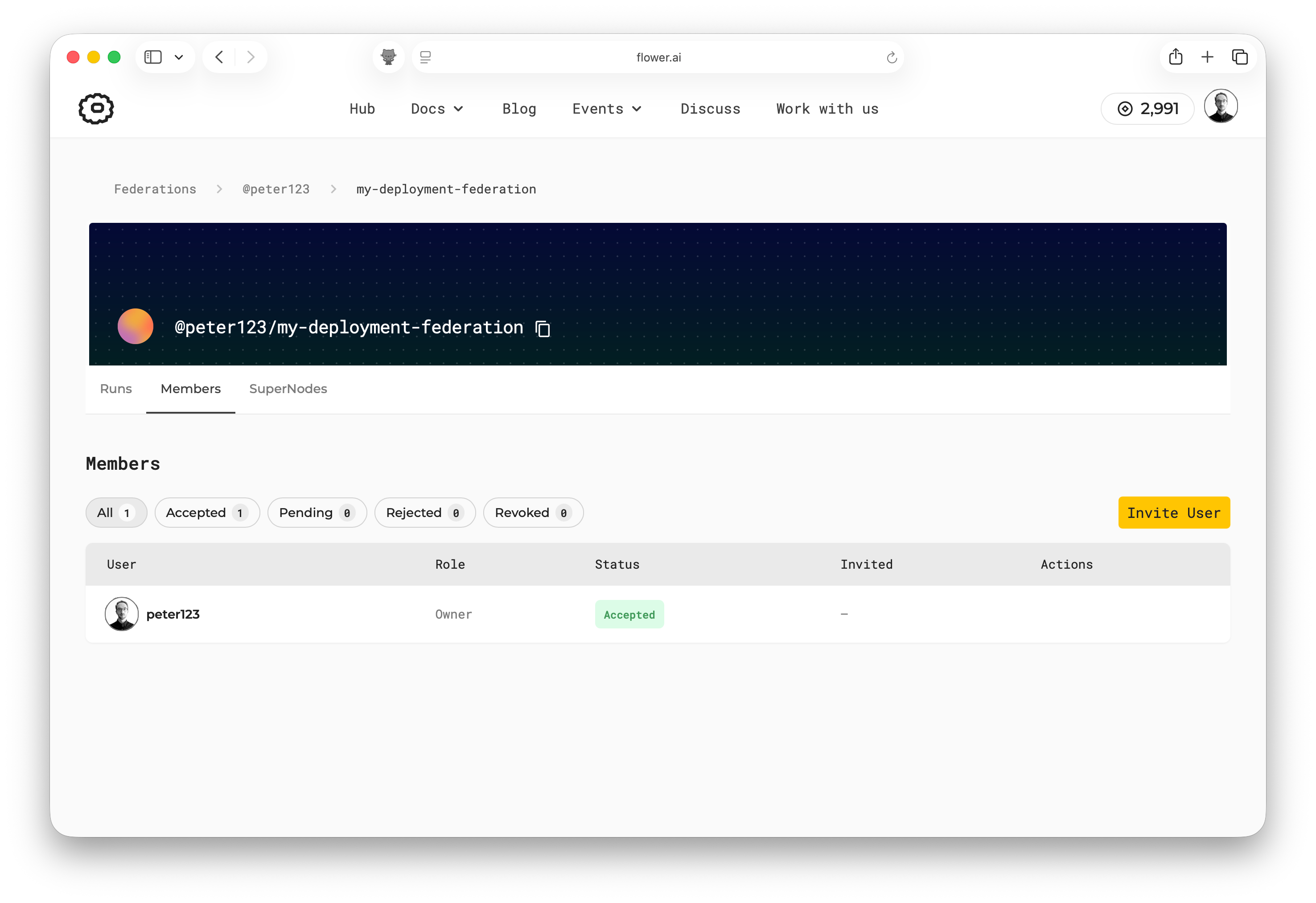 Members tab showing the federation owner