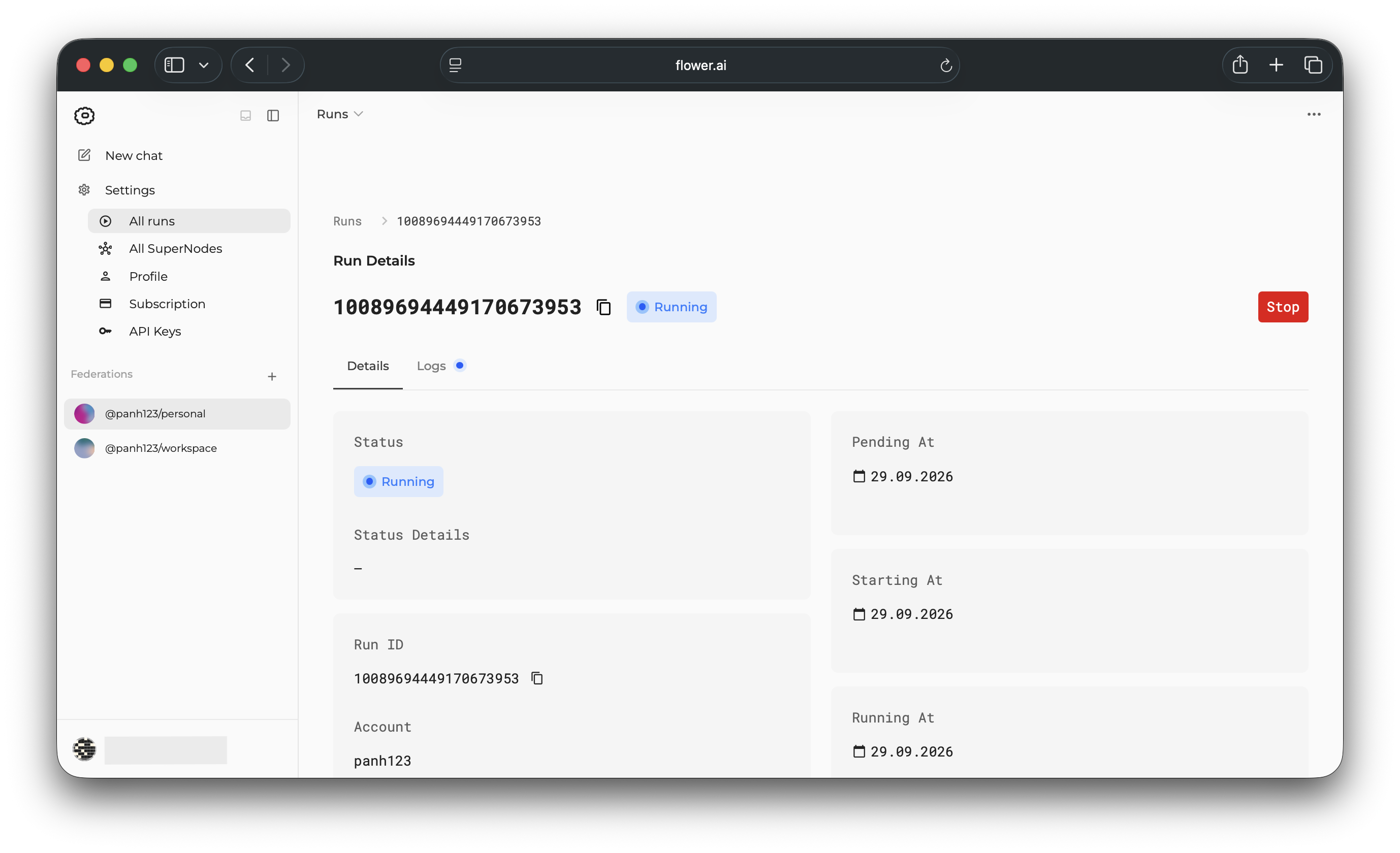 Page des détails d'exécution montrant le progrès de l'application