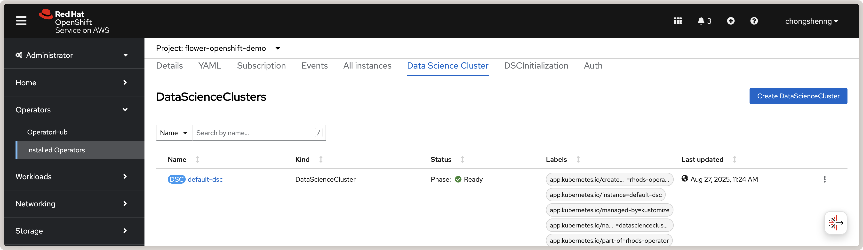View of a successfully created Red Hat OpenShift AI Data Science Cluster
