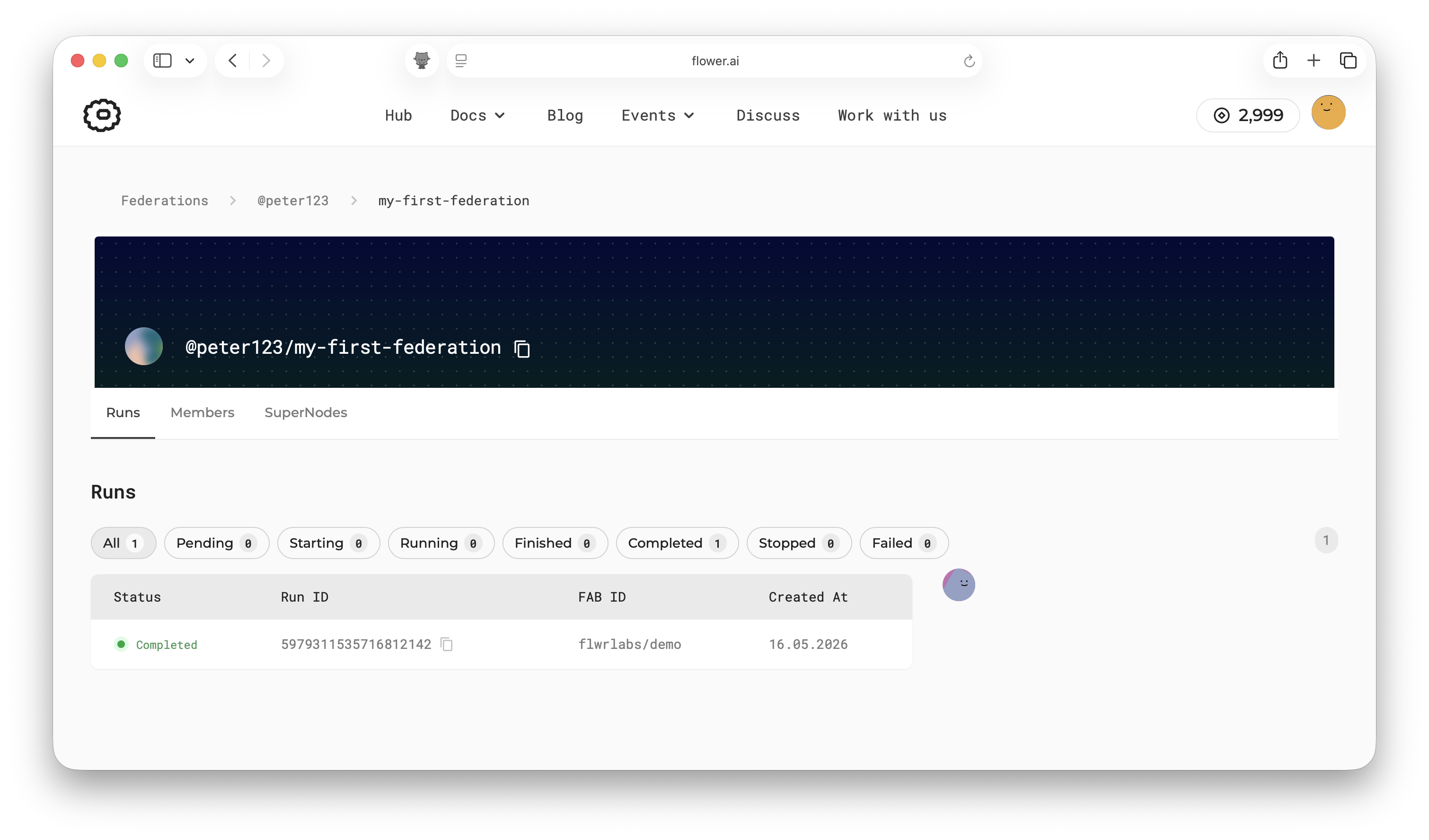 Federation details page showing the run that was launched