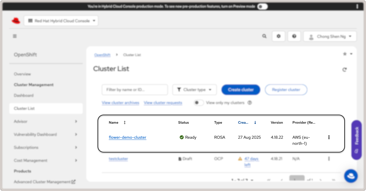 Red Hat OpenShift cluster details