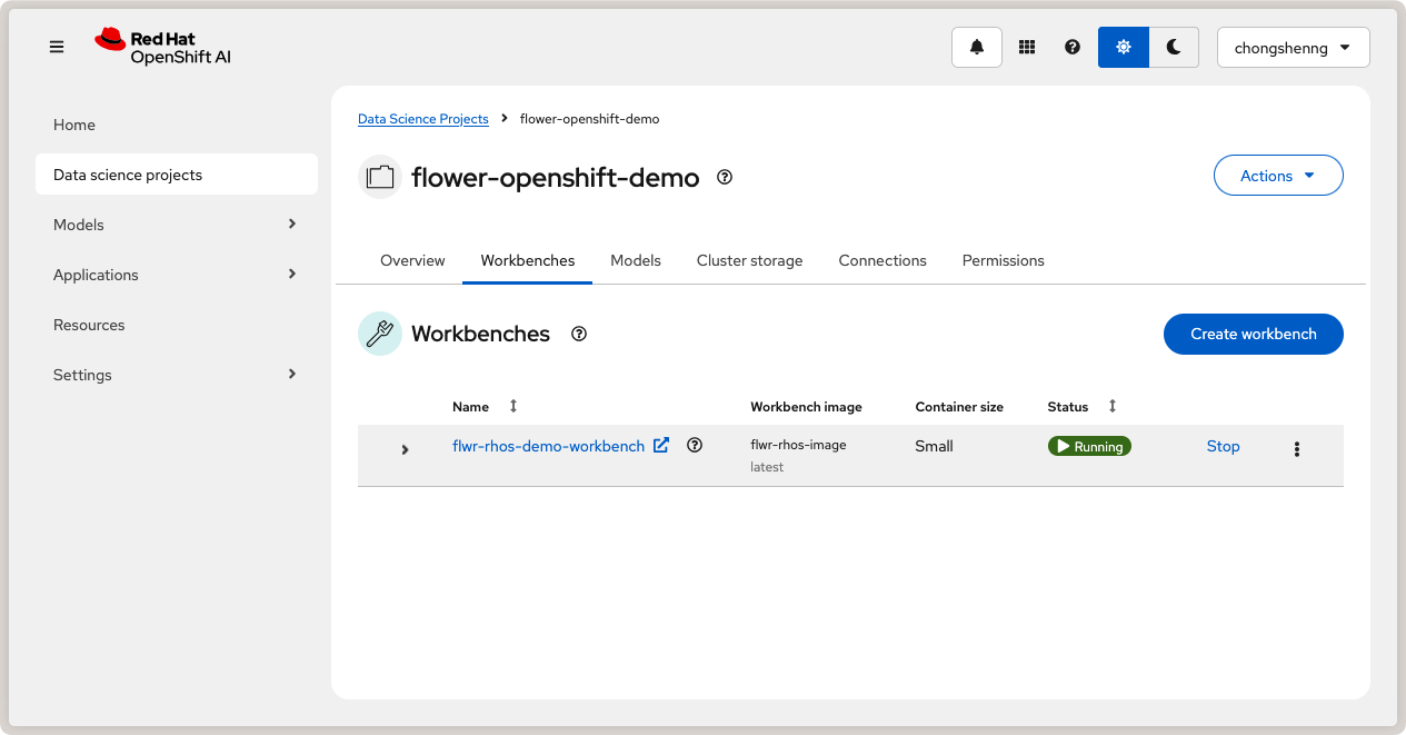 Running workbench in Red Hat OpenShift AI